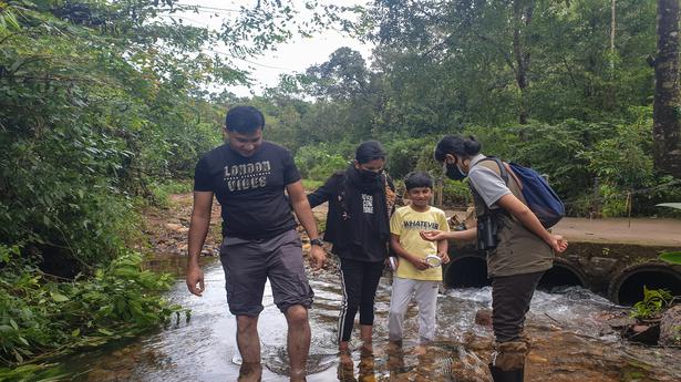 Nature guides introduce the flora and fauna of the Western and Eastern Ghats to trekkers and visitors