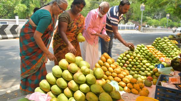 Arrival of mangoes in markets yet to pick up in Salem