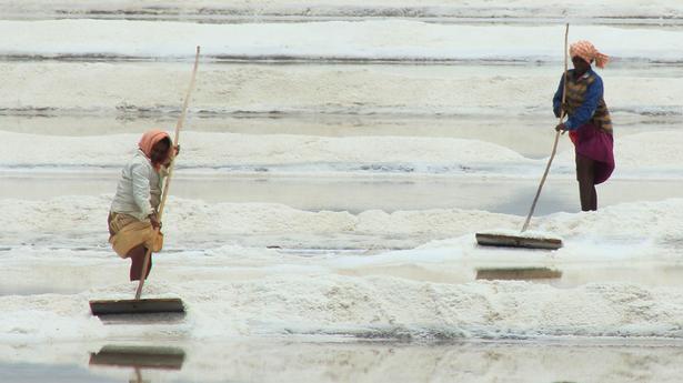 Salt manufacturers seek uniform ground rent for Central government lands