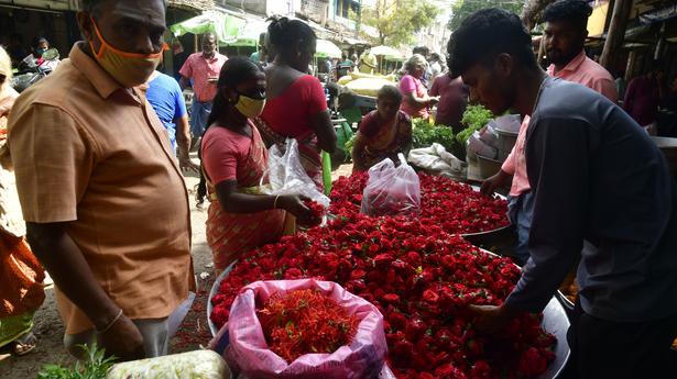 Rose markets hit by unforeseen causes; prices to surge this Valentine’s
