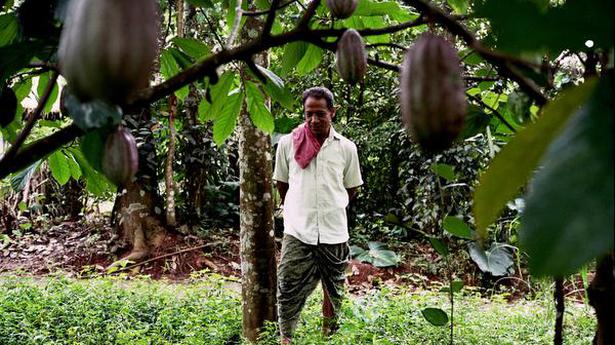 Meet the European chocolate connoisseurs celebrating Kerala’s cocoa