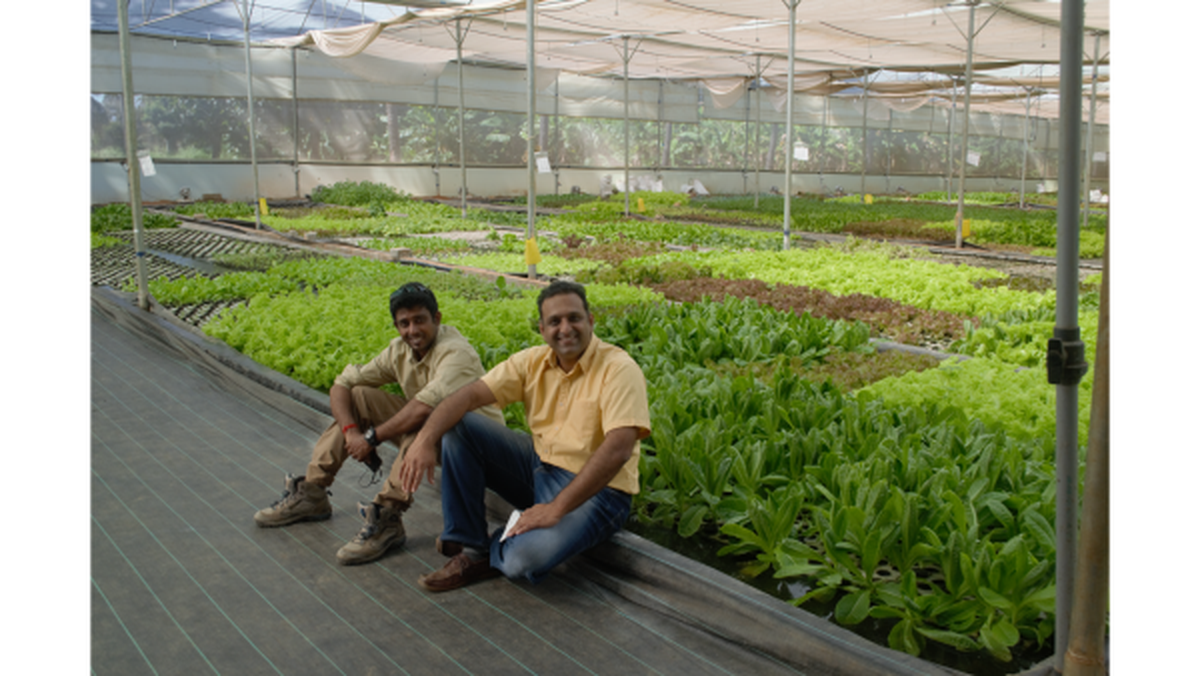 Gourmet garden founders Vishal Narayanaswamy and Arjun Balaji