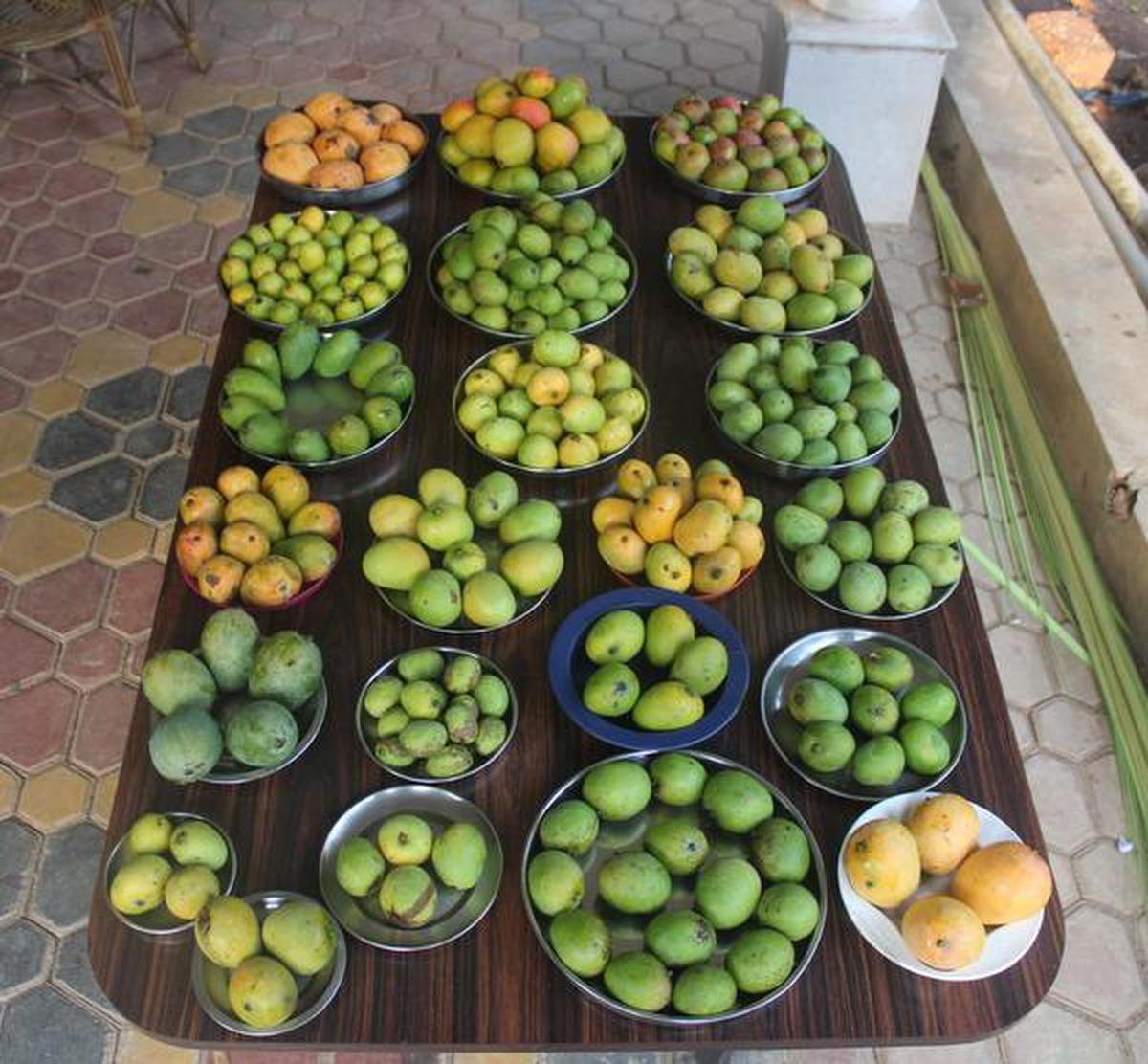 Some mango varieties available in Kannapuram