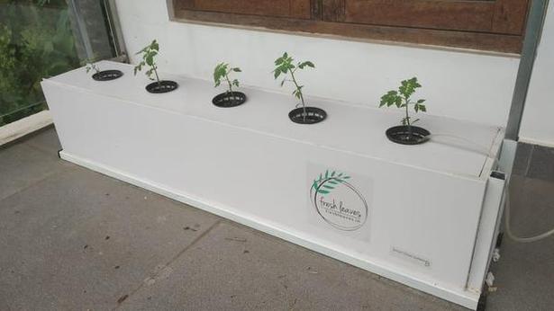 A hydroponic kit for homes