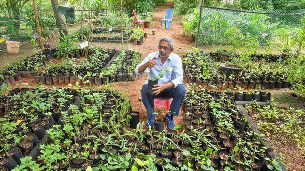 Herb nursery for Visakhapatnam