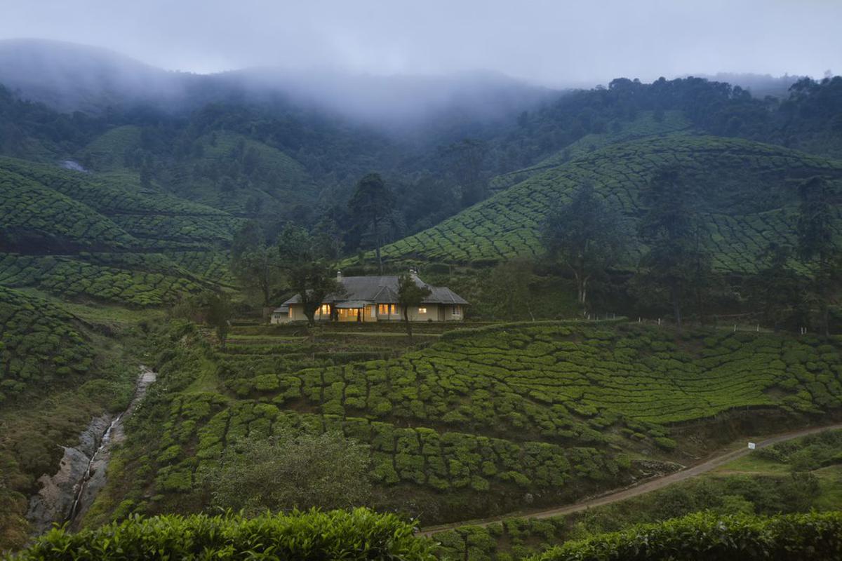 Sholamallay Estate in Munnar is now a part of IHCL’s amã Stays & Trails