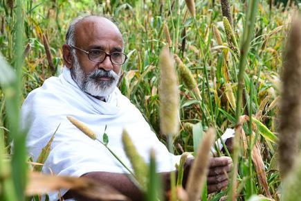 Farmer Muthu Murugan grows millets for birds in his farm land - The Hindu