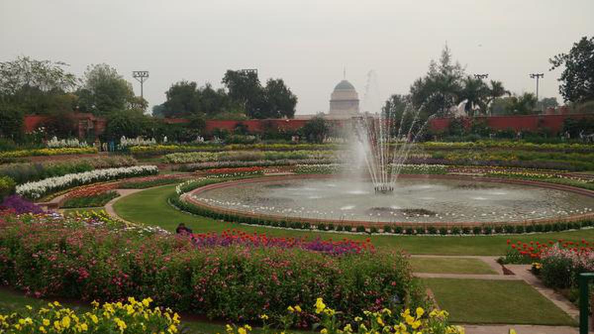 What S Blooming At The Mughal Gardens The Hindu