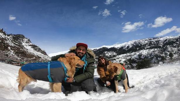 Meet Priyanka Jena and Tanveer Taj who went on a 120-day trip across India with their dogs