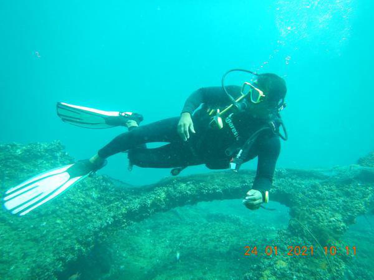 Scuba divers discover a natural arch under the sea bed off Visakhapatnam Coast
