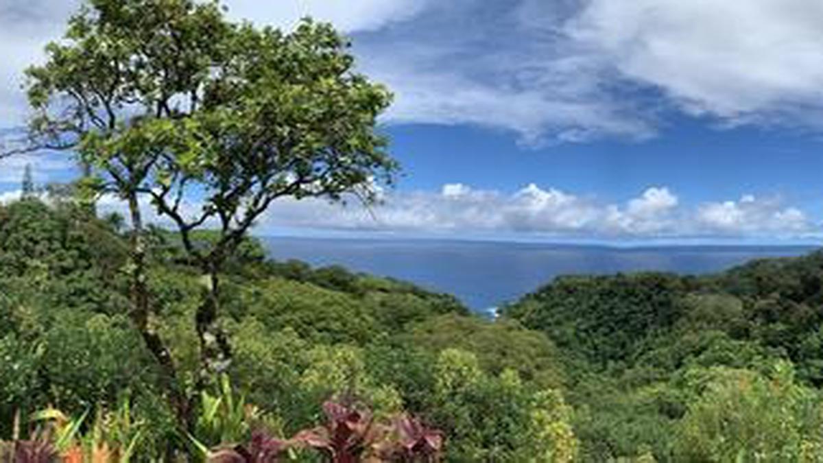The Garden Of Eden Is A Gem Tucked Away In The Maui Island Of