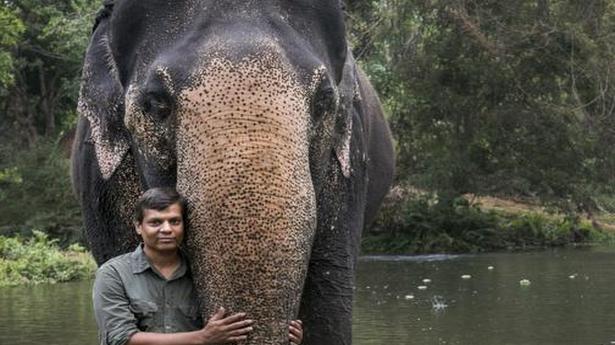 Award winning wildlife photographer Senthil Kumaran’s documentation of the gentle giants