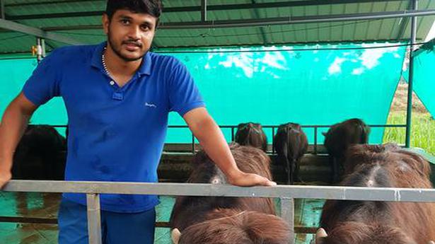 Mathew Thomas, a student, started a buffalo farm during the lockdown