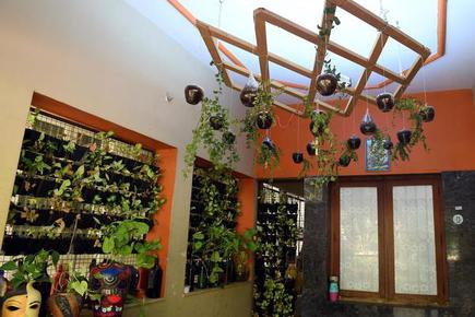 Vertical plants inside a room