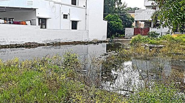 Residents of Lakkapuram Panchayatworried over rainwater stagnation