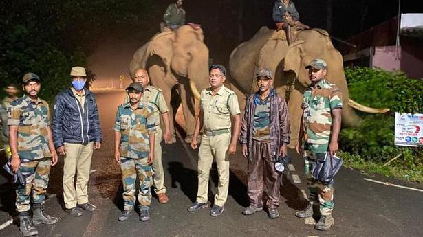 Kumkis deployed to prevent makhna elephants from raiding houses