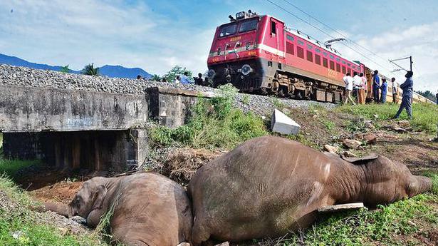 Southern Rly. to construct underpasses to prevent elephant deaths between T.N., Kerala