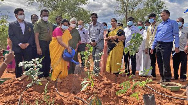 Plant4Life challenge launched in Coimbatore