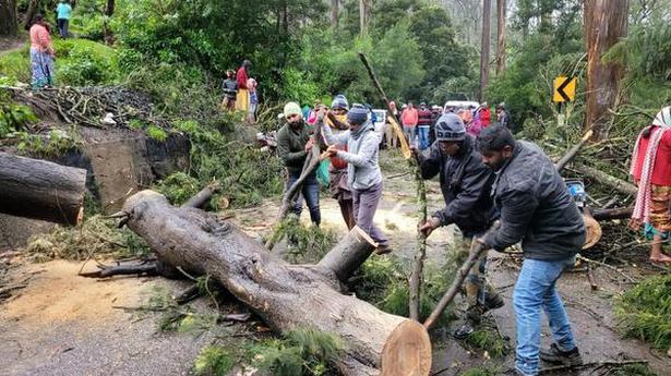 Fallen trees disrupt traffic at five places in the Nilgiris