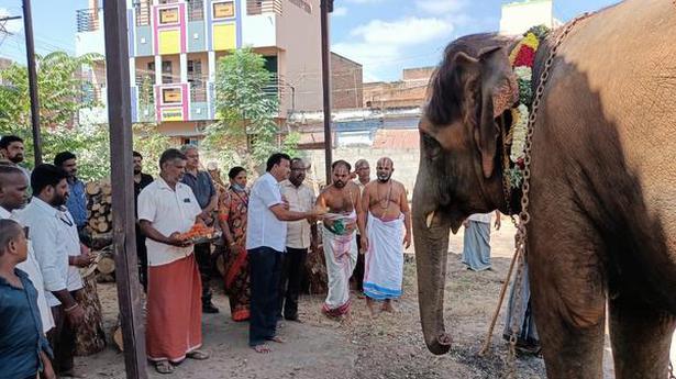 Beaten elephant sent back to Srivilliputhur temple from Thekkampatti camp