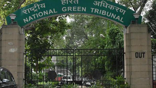 NGT grappled with environmental issues in 2019 - The Hindu