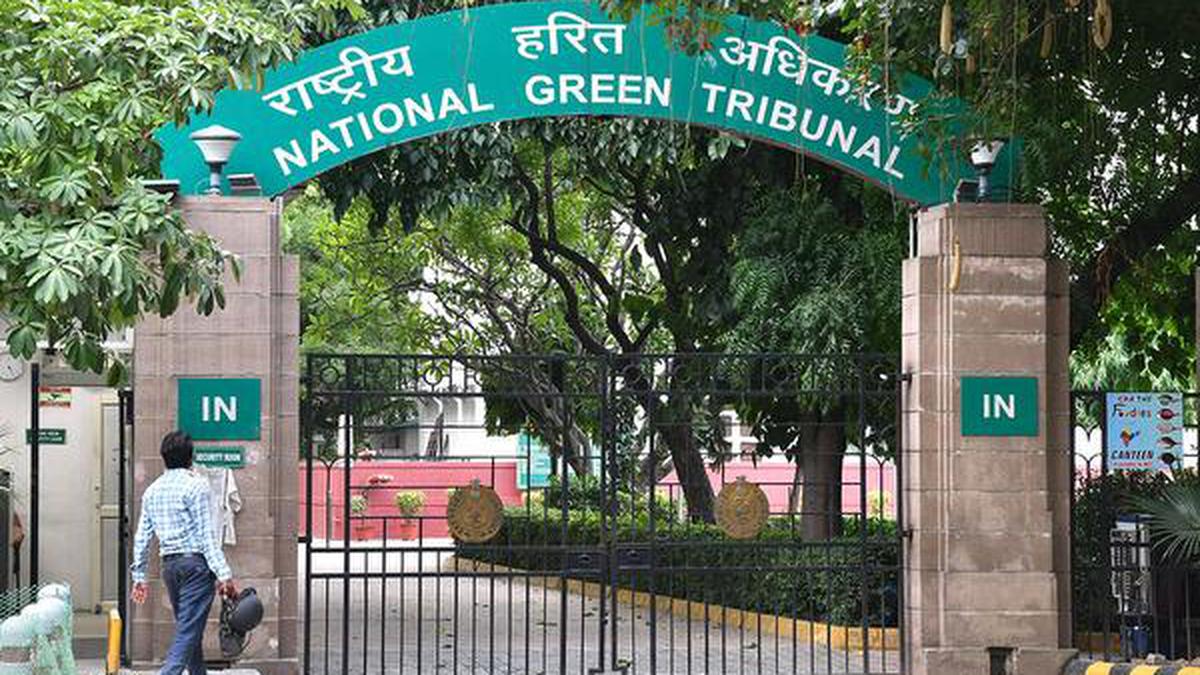 NGT issues orders to demolish two luxury projects in Bengaluru; retracted environmental clearance