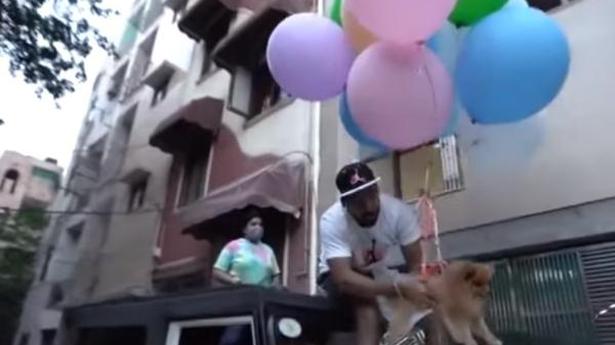 YouTuber posts video of dog flying with helium balloons, arrested |  NewsBox9.Com