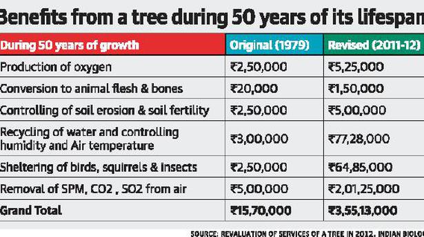 Capital losing its trees to concretisation, rule violation