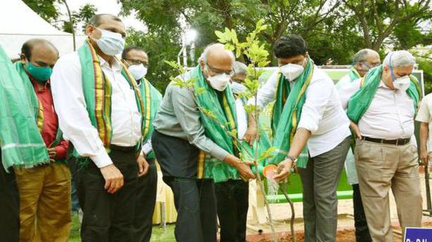 Doctors turn environment protectors too