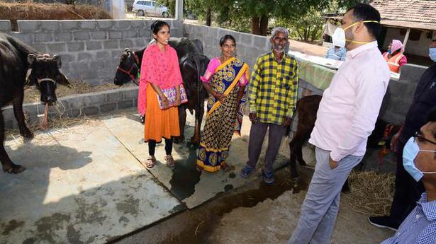 Dalit Bandhu dairy unit set up