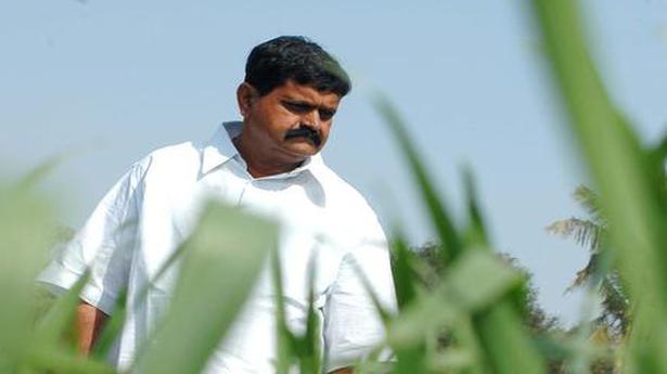 Hyderabad-based farmer Chintala Venkat Reddy wins patent for Vit D enriched rice and wheat