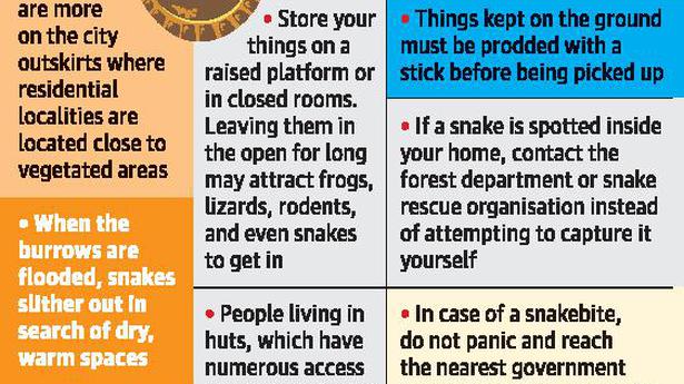 Rain, flooding force snakes to slither into homes