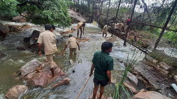 Tiger safari in zoo flooded, animals safe