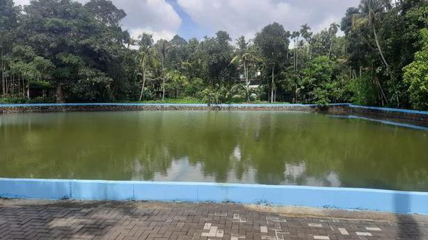 Pond rejuvenated under ‘Ente Kulam’