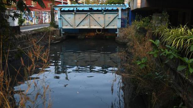Kochi’s Mullassery canal restoration work to go full steam in 10 days