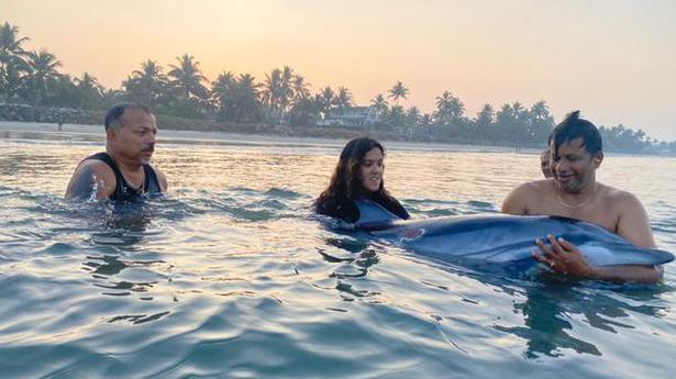 Injured dolphin rescued off Moolankuzhy beach in Kochi