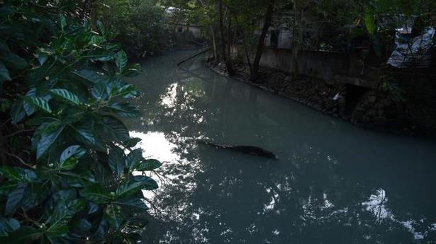 Irrigation Dept. to come up with flood control measures in Kochi