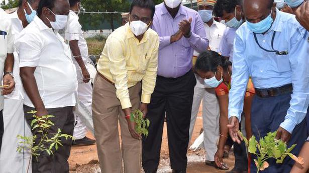 Mini-forests in all panchayat unions within a year in Dindigul: Collector