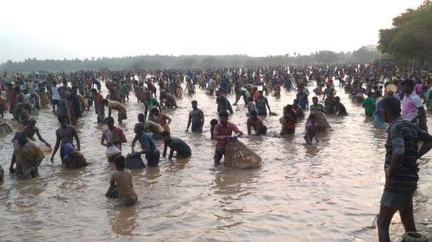 Despite COVID-19 restrictions, fishing festival held in Madurai, Sivaganga