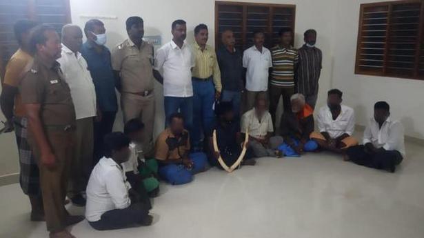 Pair of tusks seized, 9 held near Theni