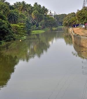 As many as three public parks would be established along the left bank of the Uyyakondan Canal.