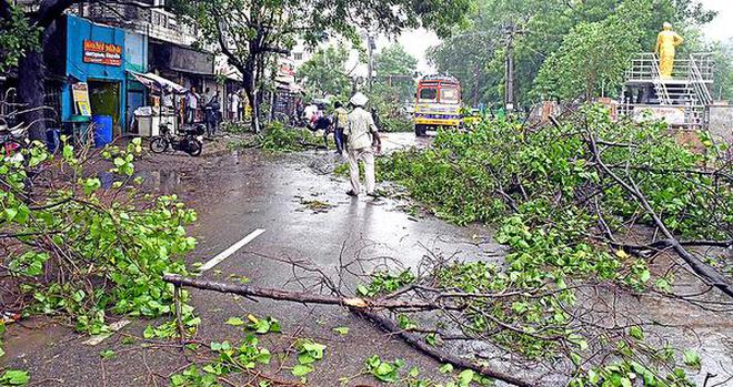 A road littered with uprooted trees at Cantonment in Tiruchi
