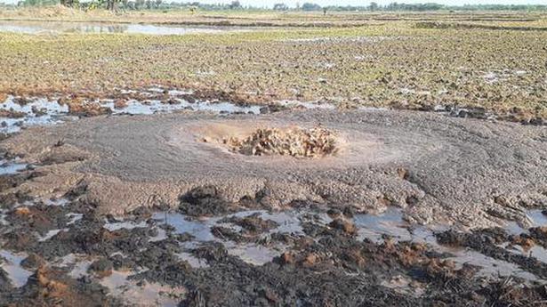 ONGC’s crude oil pipeline leaks into agricultural field near Mannargudi, paddy cultivation affected