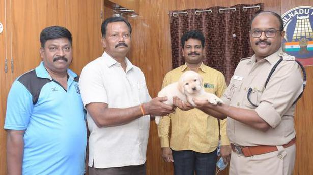 ‘Kavin’ joins Perambalur Police Detective Dog Squad