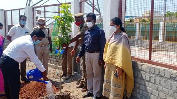 Karunanidhi’s birth anniversary: saplings to be planted in three districts