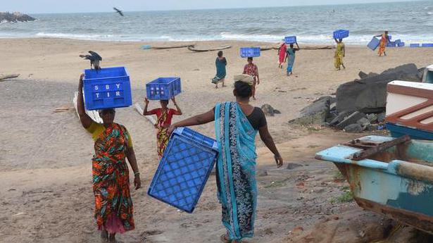 Now, a mobile App for fisherwomen