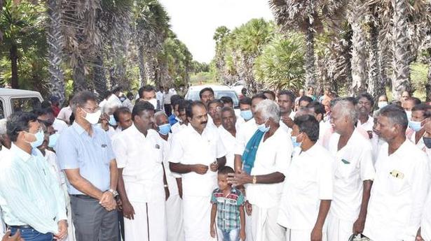 This palm grove in Pandikulam is the cynosure of all eyes now