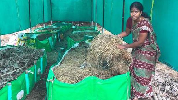 Ariyalur homemaker to turn a neat profit with vermicompost venture