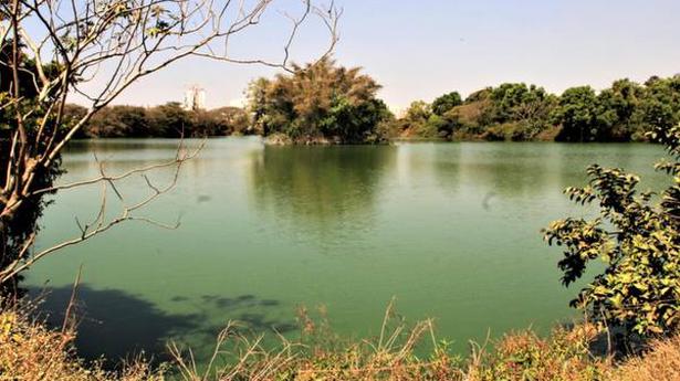 Concerns over restoration process of Doddakallasandra lake