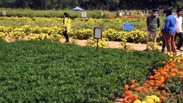 New agricultural technologies on display at Krishi Mela in Bengaluru